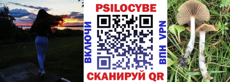 Псилоцибиновые грибы Cubensis  где купить наркотик  Волгоград 